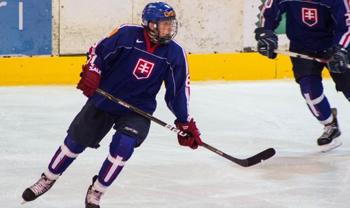 Duklu bude reprezentovať 9 hokejistov